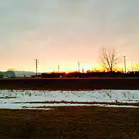 Picture for song 'Just Dropped In' by artist 'Jimi Sweeney'