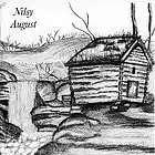 Picture for song 'The Beautiful Dream' by artist 'Nils-Ole Finbak'