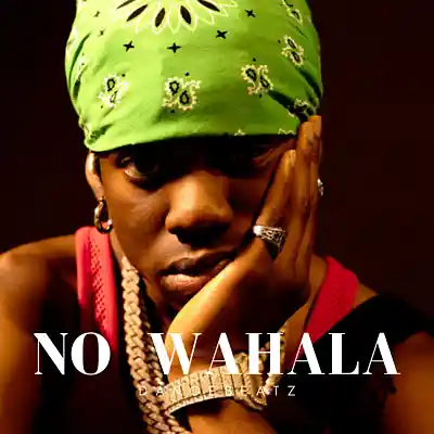 Picture for song 'NO WAHALA - Afrobeat' by artist 'OfficialDanoeBeatz'