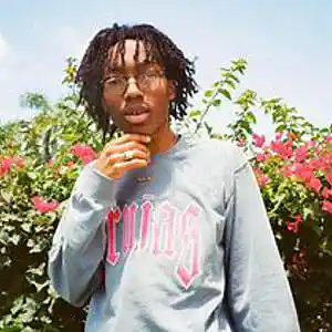 Picture for song 'BO$$ (Buy 1 Get 3 Free) Lil Tecca Type Beat' by artist 'Schwerve Productions'