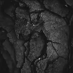 Picture for song 'Neural Break' by artist 'The Innervoid'
