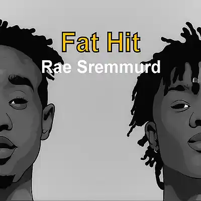 Picture for song 'Fat Hit - Rae Sremmurd' by artist 'Fat Hit'