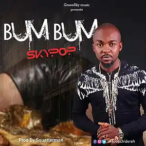Picture for song 'SKY POP...bumbum' by artist 'GreenskyMusicpop'