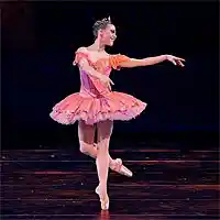 Picture for song 'Dance of the Sugar Plum Faerie' by artist 'Mark Wessels'