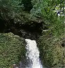 Picture for song 'Departure 101 - Whale watching' by artist 'RusOMuzik'