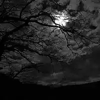 Picture for song 'Slow Dark Beat' by artist 'Sino'