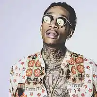 Picture for song 'Levels' by artist 'TFFC'