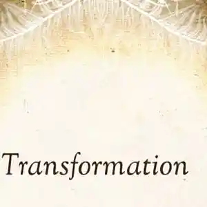 Picture for song 'transformation' by artist 'The Song Whisperer'