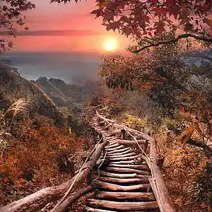 Picture for song 'The Journey' by artist 'Steampipe Studio'