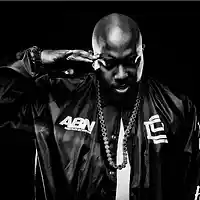 Picture for song 'Insane (TS/BP)' by artist 'Trackslammerz'