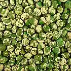 Picture for song 'seagull' by artist 'Wasabi Peace'