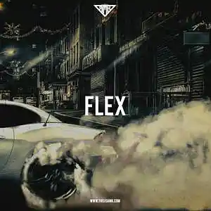 Picture for song 'Flex' by artist 'www.beat.lease'