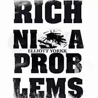 Picture for song 'Rich N**** Problems' by artist 'Elliott Yorkk'
