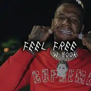 Picture for song 'Feel Free (with hook)' by artist 'Beats with Hooks.'