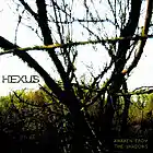 Picture for song 'Inertia' by artist 'Hexus'