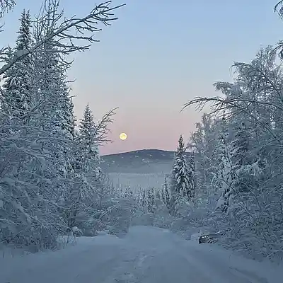 Picture for song 'Let It' by artist 'Justin Osowiecki'