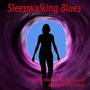 Picture for song 'BL07 Sleepwalking Blues' by artist 'martin stirrup'