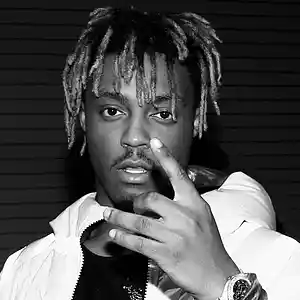 Picture for song 'WILD (juice WRLD type beat)' by artist 'mikkniko'