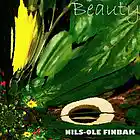 Picture for song 'Beauty' by artist 'Nils-Ole Finbak'
