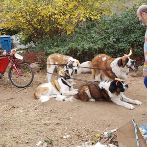 Picture for song 'patterns of behavior (end titles)' by artist 'Amberwolf'