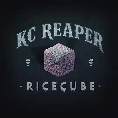 Picture for song 'WAKE N WRECK' by artist 'RiceCube and KC REAPER'