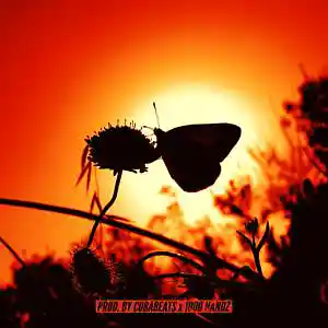 Picture for song 'Cocoon' by artist '1000 Handz'