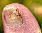 Picture for song 'Smell the funky toe.mp3' by artist '1 JamMasterG'