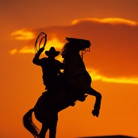 Picture for song 'Rough Writerz (Edited)' by artist '7oo 7rue'