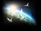 Picture for song 'Tender Love' by artist 'Act A Fool Entertainment'