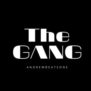 Picture for song 'The Gang' by artist 'AndrewBeatsOne'