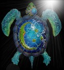 Picture for song 'Blue Turtle Stomp' by artist 'Blue Sea Turtles'