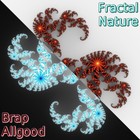 Picture for song 'Fractal Nature _ featuring Max Igan' by artist 'Brap'