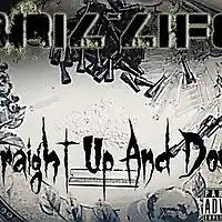 Picture for song 'Straight Up And Down' by artist 'BriL-Life'