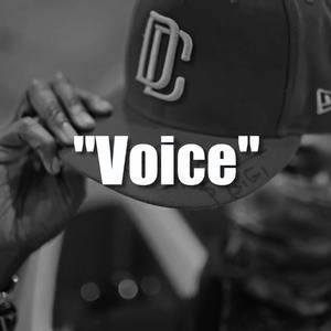Picture for song '"Voice" ( BUY 1 GET 4 FREE )' by artist 'davmusic'