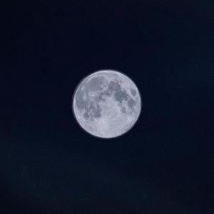 Picture for song '(FREE) Drake x Roddy Rich Type Beat - Only You' by artist 'Diego Royce'