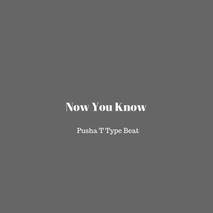 Picture for song 'Now You Know Pusha T Type Beat' by artist 'DJ Mauri B'