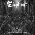 Picture for song 'Sentinels of Thunder's Conception' by artist 'Elephant'