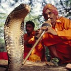 Picture for song 'illasapillfcf' by artist 'filthy germs'