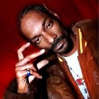 Picture for song 'The Life tagged.mp3' by artist 'FLORICMUSIC'