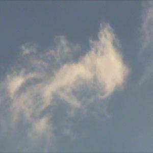 Picture for song 'short fast time travel' by artist 'fogy'