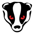 Picture for song 'Teenage Kicks' by artist 'Furious Badgers'