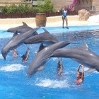 Picture for song 'Live The Life' by artist 'Geoff Judges'