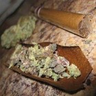 Picture for song 'Thorobreadz ft Illwill Da Great - Steamin' by artist 'Illwillin Musik'