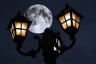 Picture for song 'Final Step' by artist 'Imani VMR'