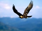 Picture for song 'Wings (Errol Beats Collab)' by artist 'J Santana Beats'