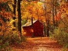 Picture for song 'The Last Fall' by artist 'Klaatu (CT)'