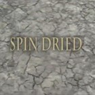 Picture for song 'Spin Dried' by artist 'Larry Whitler'