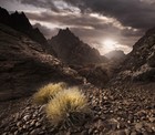 Picture for song 'Mystic Mountain Top' by artist 'Lavallin'