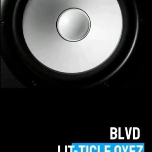 Picture for song '-BLVD- [1]' by artist 'Lit-ticle Oyez Brands Manufacturer'
