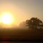 Picture for song 'In the Mornin'' by artist 'Live District'
